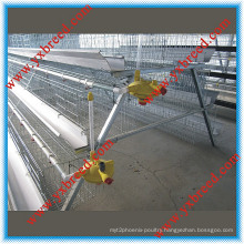 Quality Layer Battery Cages